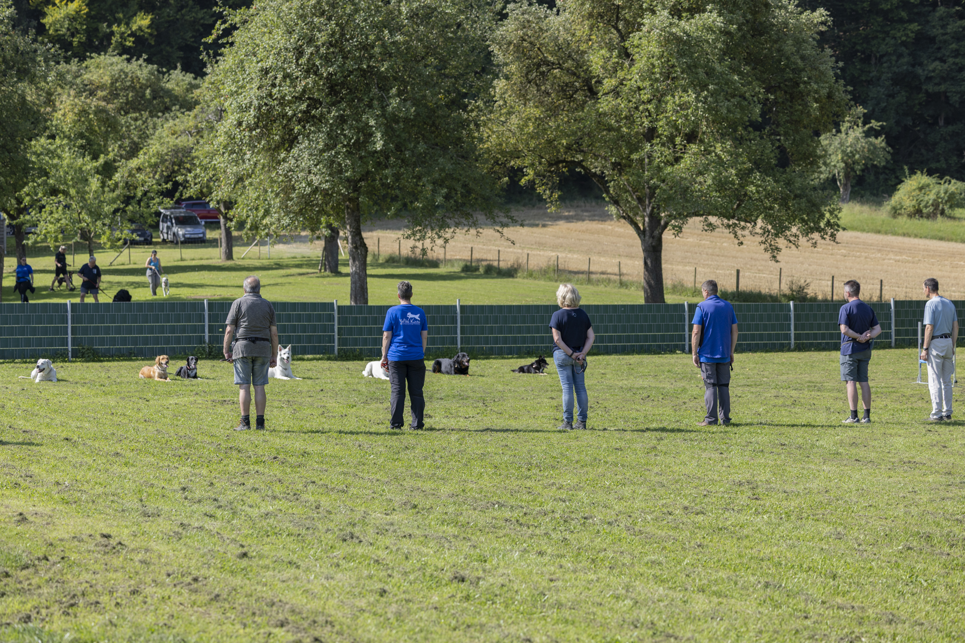 Obedience Hundeausbildungs-Zentrum WiWa Kirchen e.V.-080A1117 Obedience