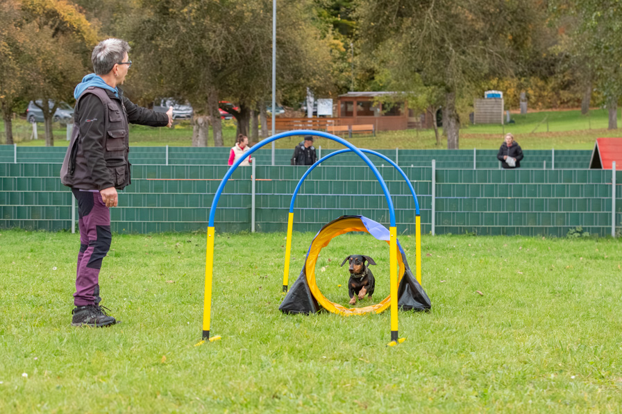 Hoopers TWSL7870_ Hoopers