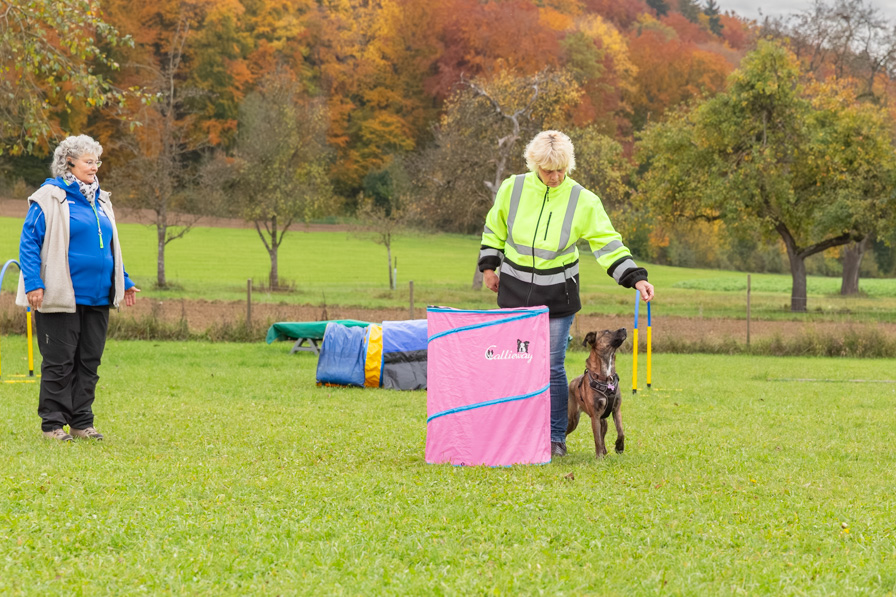 Hoopers TWS_2590_ Hoopers