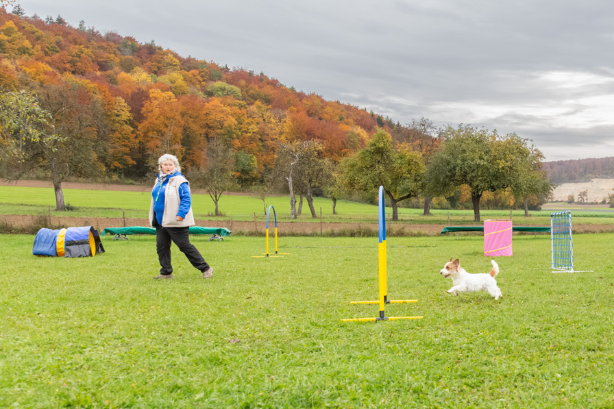 Hoopers TWS_2612_ Hoopers