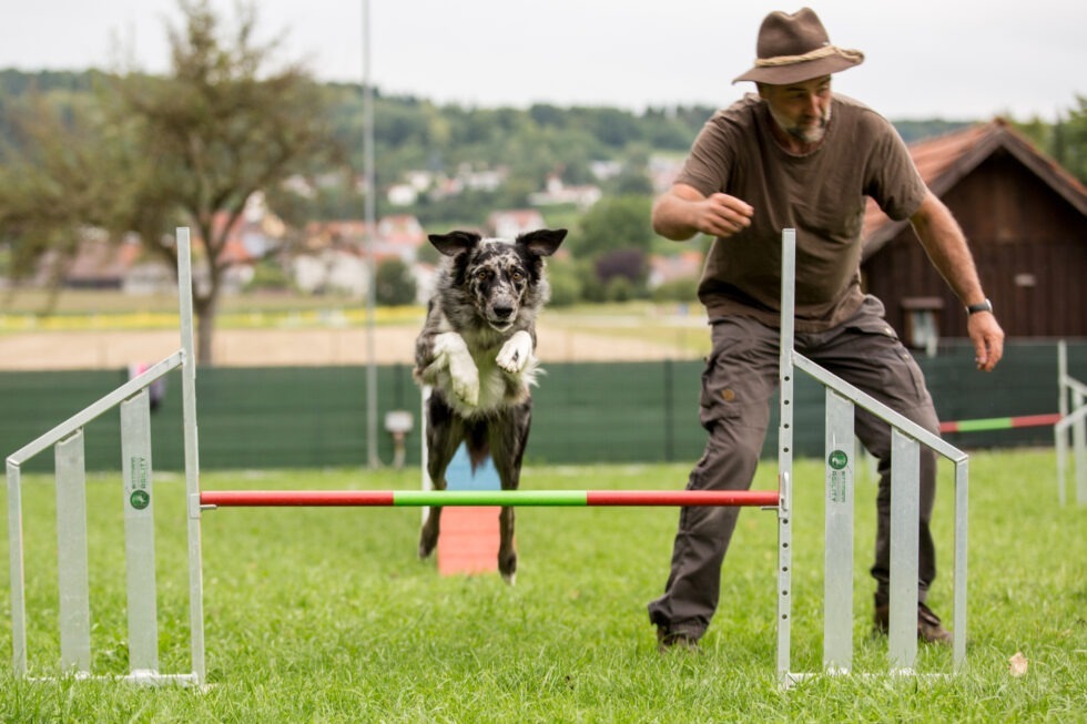 Agility-BEP_7077--980x653