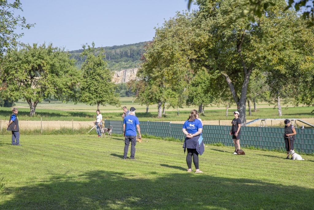 Basisausbildung im Hundeausbildungs-Zentrum WiWa Kirchen e.V.