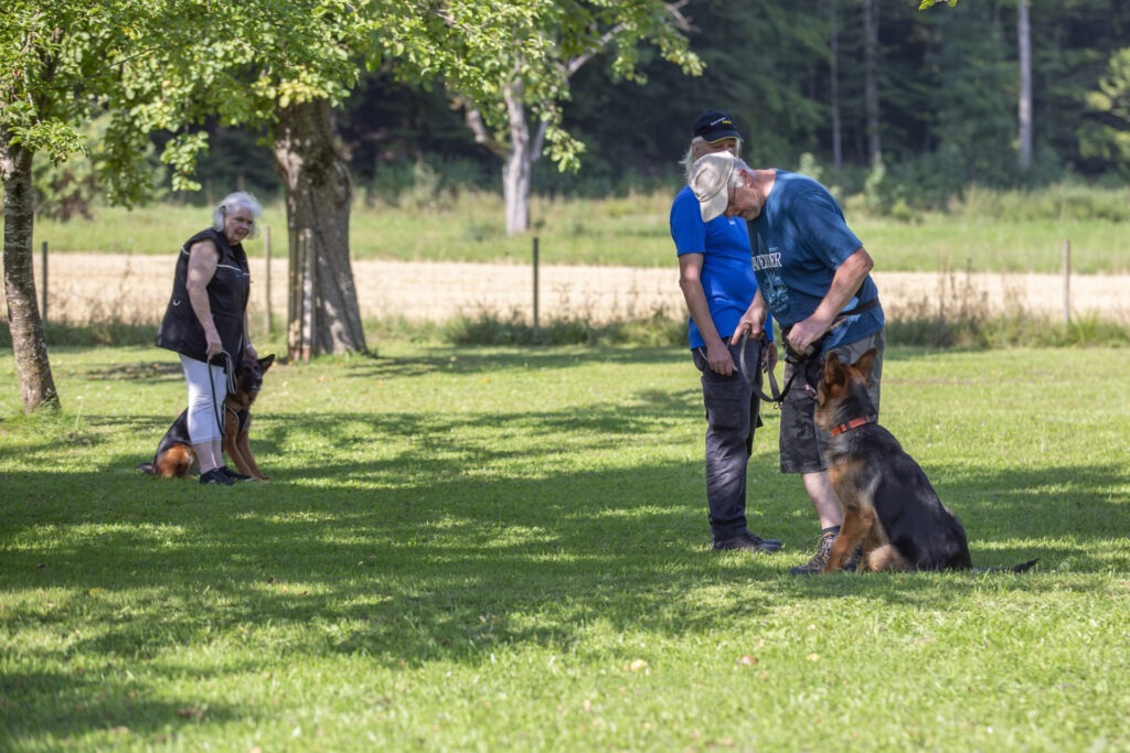 Basisausbildung im Hundeausbildungs-Zentrum WiWa Kirchen e.V.