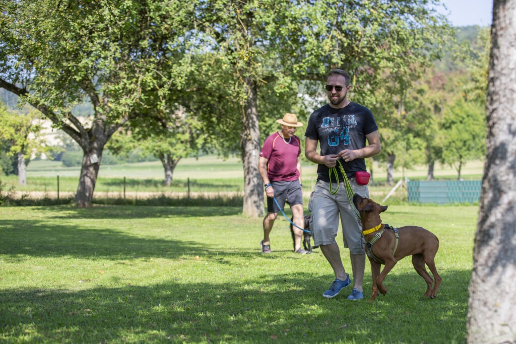 Basisausbildung im Hundeausbildungs-Zentrum WiWa Kirchen e.V.
