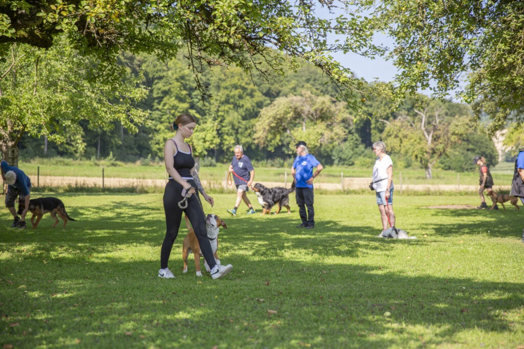 Basisausbildung im Hundeausbildungs-Zentrum WiWa Kirchen e.V.