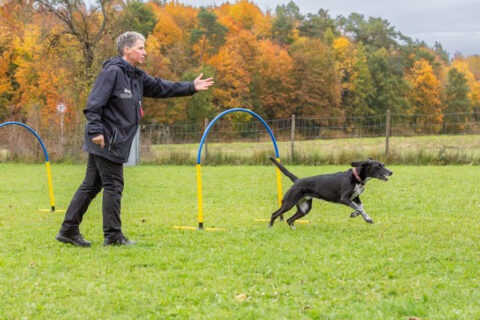 Hoopers-TWSL7778_-1-480x320