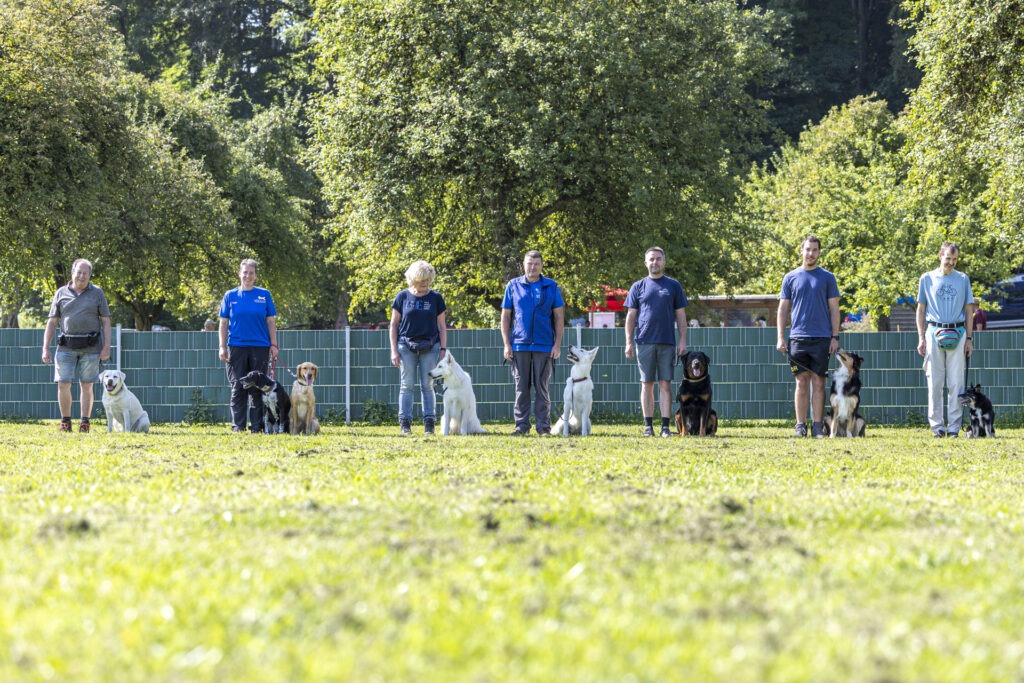 Obedience Training im Hundeausbildungs-Zentrum WiWa Kirchen e.V.