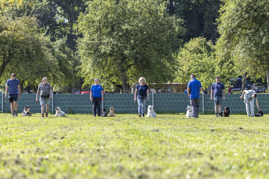 Obedience Training im Hundeausbildungs-Zentrum WiWa Kirchen e.V.