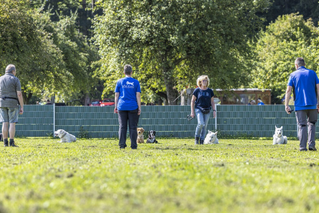 Obedience Training im Hundeausbildungs-Zentrum WiWa Kirchen e.V.