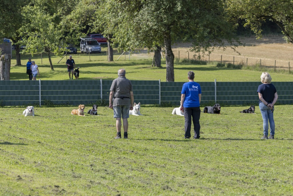 Obedience Training im Hundeausbildungs-Zentrum WiWa Kirchen e.V.