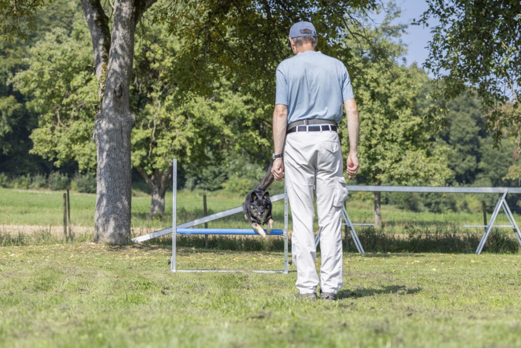 Obedience Training im Hundeausbildungs-Zentrum WiWa Kirchen e.V.