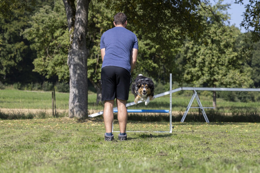 Obedience Training im Hundeausbildungs-Zentrum WiWa Kirchen e.V.