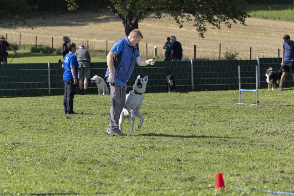 Obedience Training im Hundeausbildungs-Zentrum WiWa Kirchen e.V.