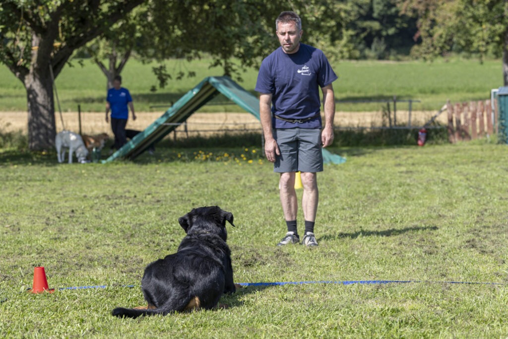 Obedience Training im Hundeausbildungs-Zentrum WiWa Kirchen e.V.