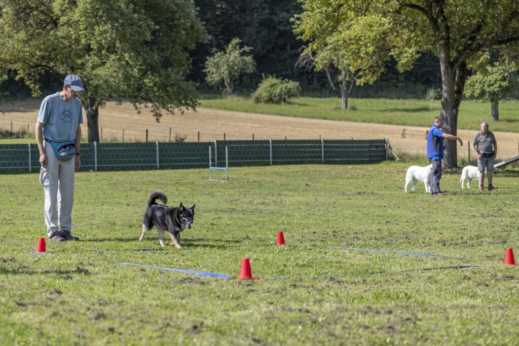 Obedience Training im Hundeausbildungs-Zentrum WiWa Kirchen e.V.