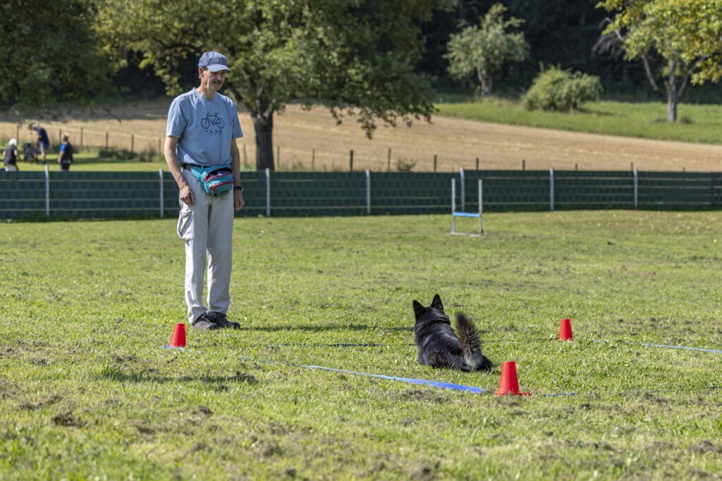 Obedience Training im Hundeausbildungs-Zentrum WiWa Kirchen e.V.