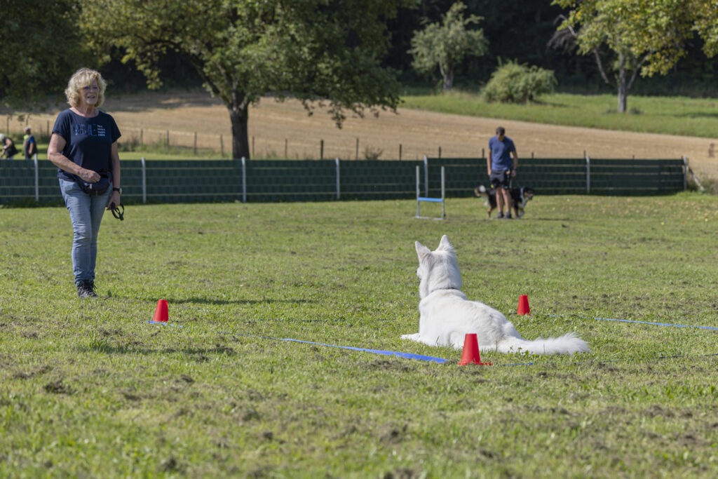 Obedience Training im Hundeausbildungs-Zentrum WiWa Kirchen e.V.