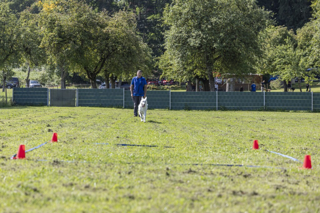 Obedience Training im Hundeausbildungs-Zentrum WiWa Kirchen e.V.