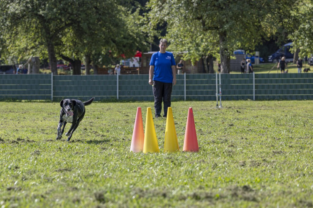 Obedience Training im Hundeausbildungs-Zentrum WiWa Kirchen e.V.