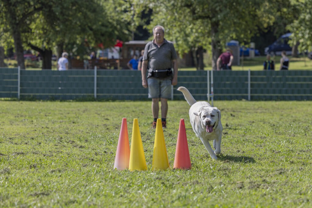 Obedience Training im Hundeausbildungs-Zentrum WiWa Kirchen e.V.