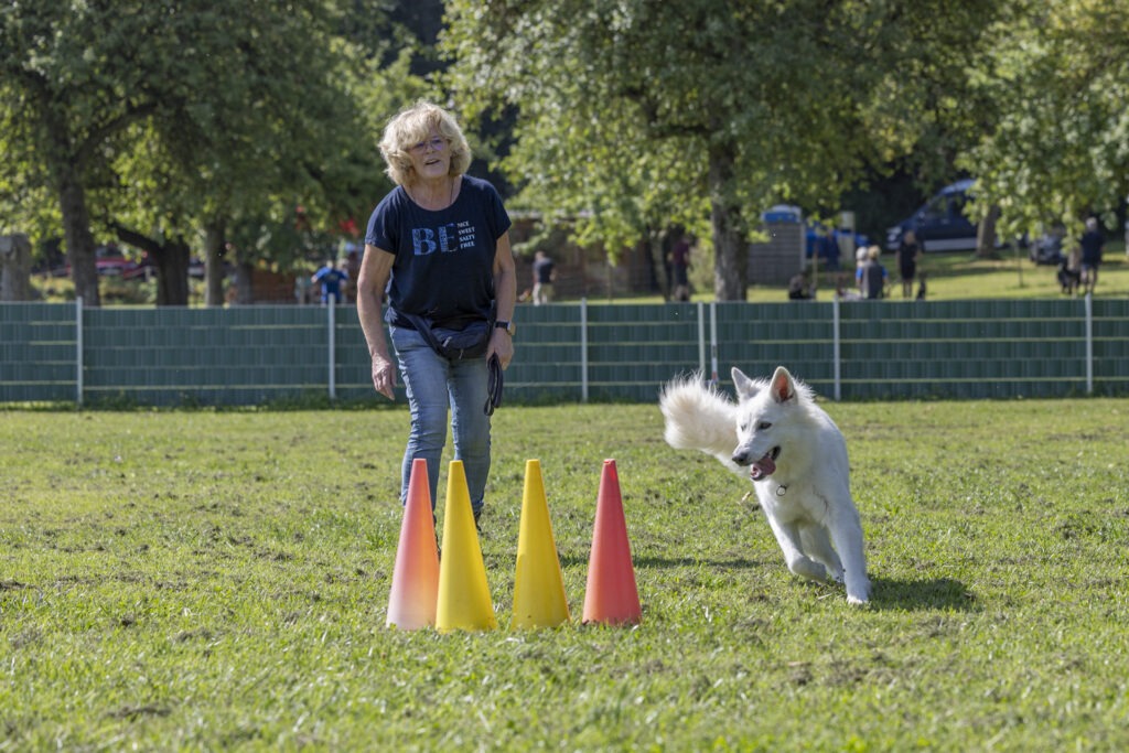 Obedience Training im Hundeausbildungs-Zentrum WiWa Kirchen e.V.