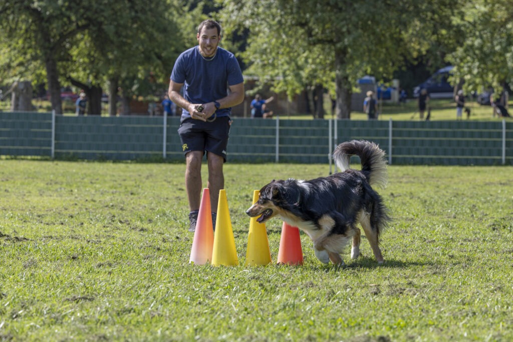 Obedience Training im Hundeausbildungs-Zentrum WiWa Kirchen e.V.
