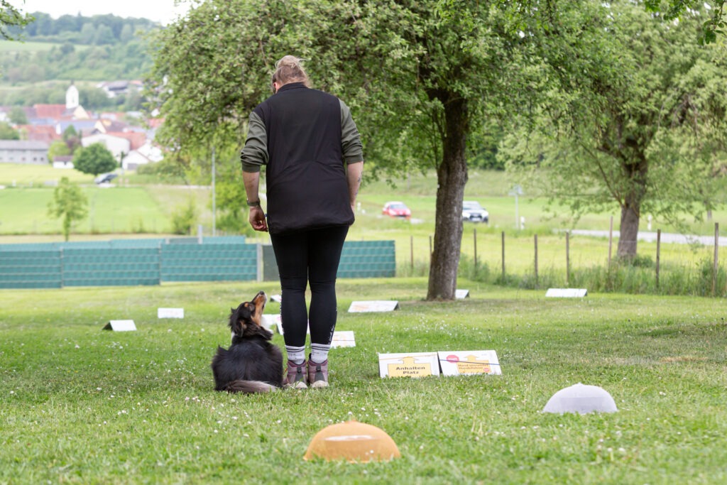 Rally Obedience Training im Hundeausbildungs-Zentrum WiWa Kirchen e.V.