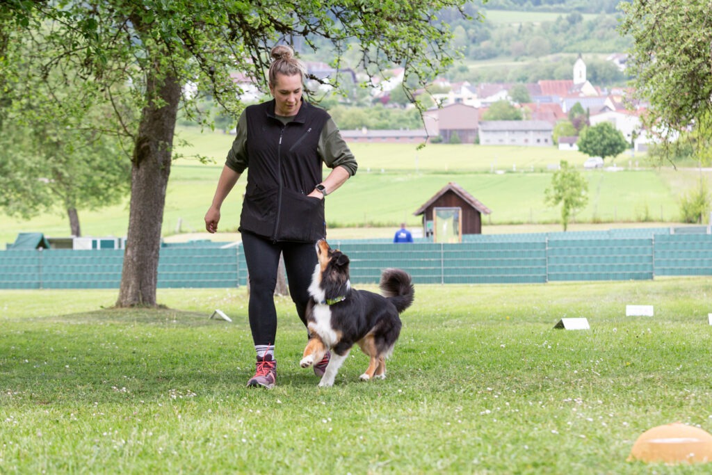 Rally Obedience Training im Hundeausbildungs-Zentrum WiWa Kirchen e.V.