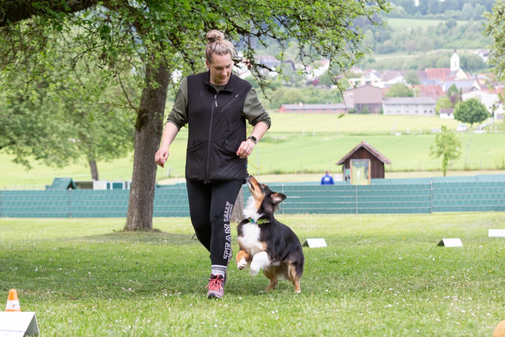 Rally Obedience Training im Hundeausbildungs-Zentrum WiWa Kirchen e.V.