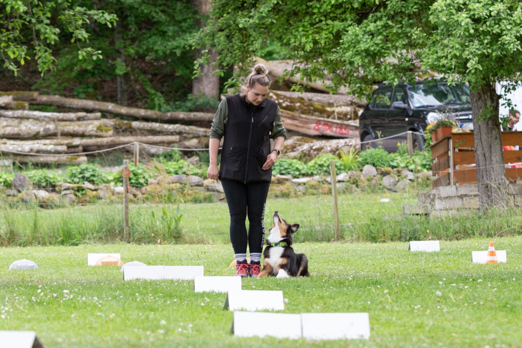 Rally Obedience Training im Hundeausbildungs-Zentrum WiWa Kirchen e.V.