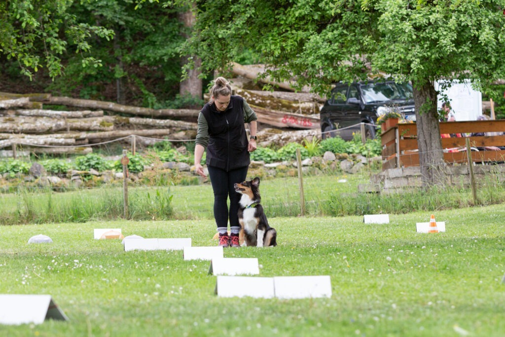 Rally Obedience Training im Hundeausbildungs-Zentrum WiWa Kirchen e.V.