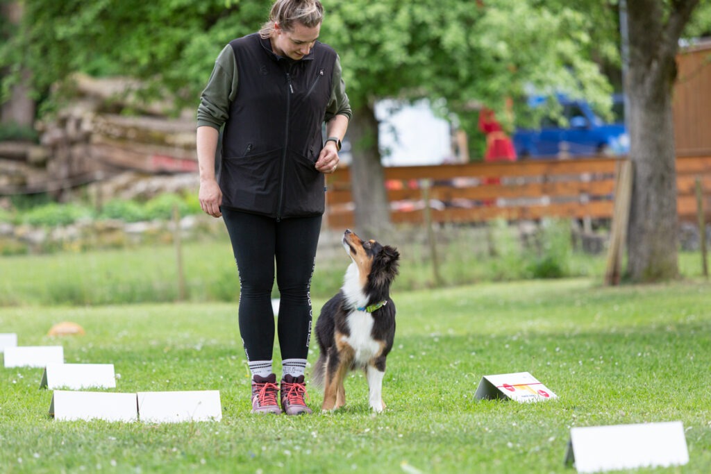Rally Obedience Training im Hundeausbildungs-Zentrum WiWa Kirchen e.V.