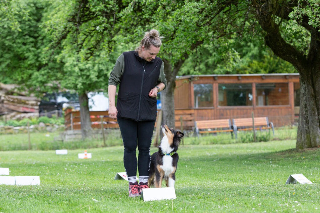 Rally Obedience Training im Hundeausbildungs-Zentrum WiWa Kirchen e.V.