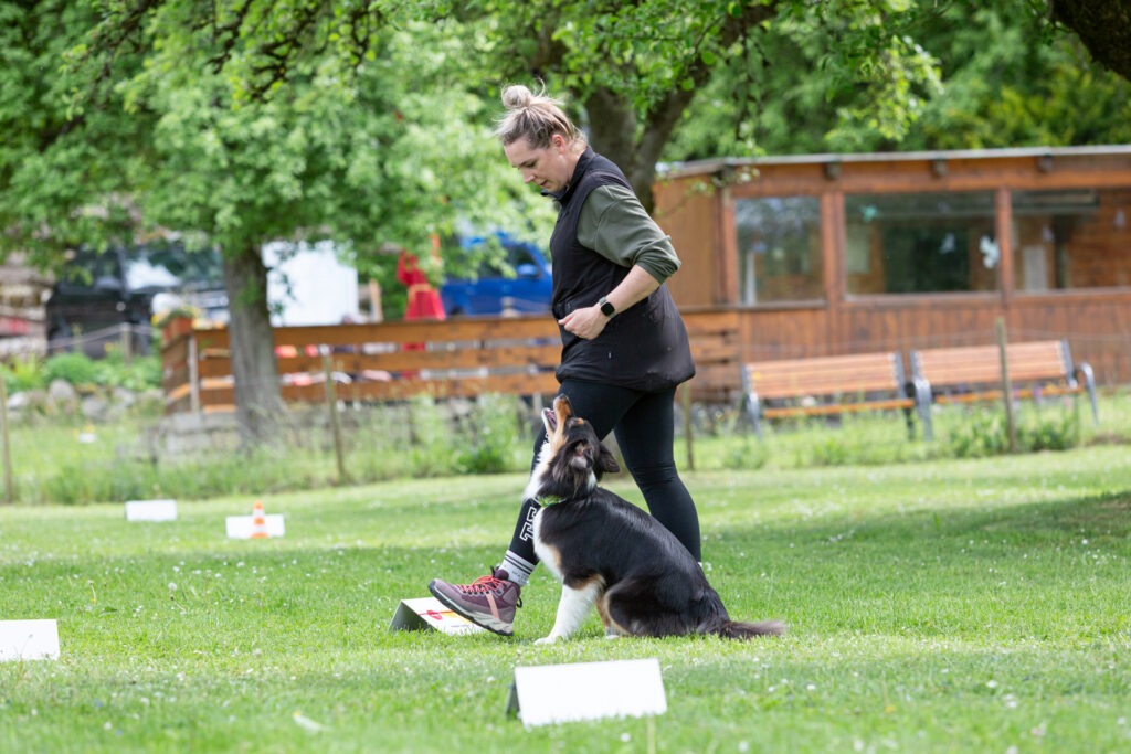 Rally Obedience Training im Hundeausbildungs-Zentrum WiWa Kirchen e.V.