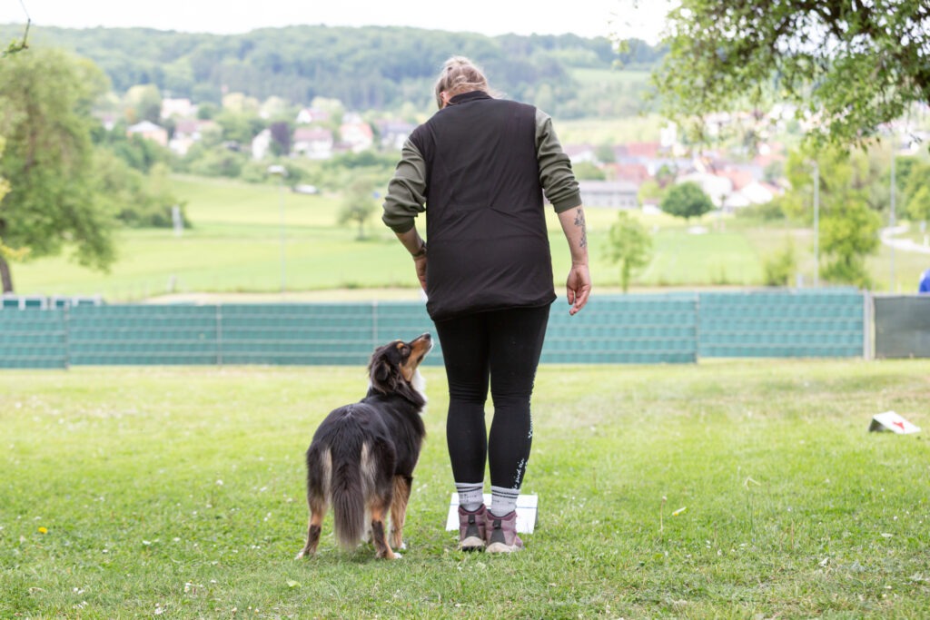 Rally Obedience Training im Hundeausbildungs-Zentrum WiWa Kirchen e.V.