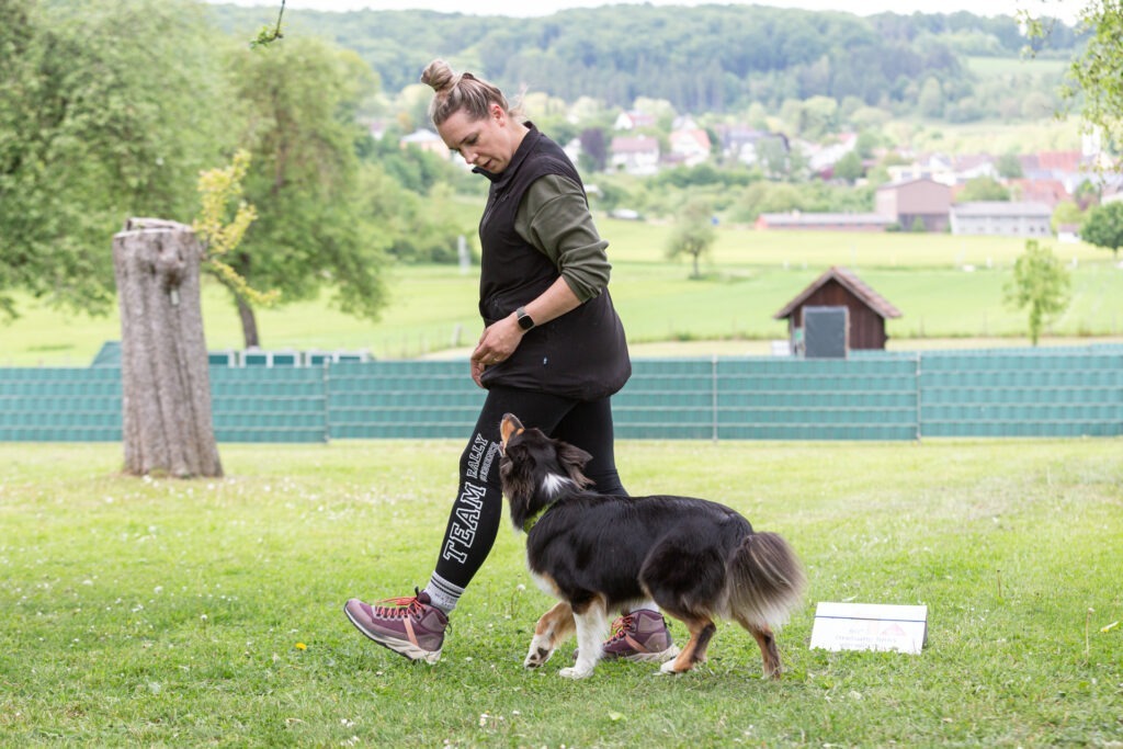 Rally Obedience Training im Hundeausbildungs-Zentrum WiWa Kirchen e.V.
