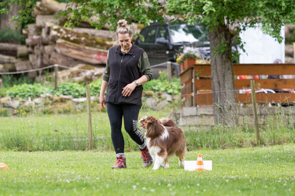 Rally Obedience Training im Hundeausbildungs-Zentrum WiWa Kirchen e.V.