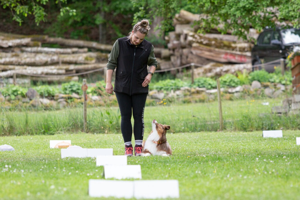 Rally Obedience Training im Hundeausbildungs-Zentrum WiWa Kirchen e.V.