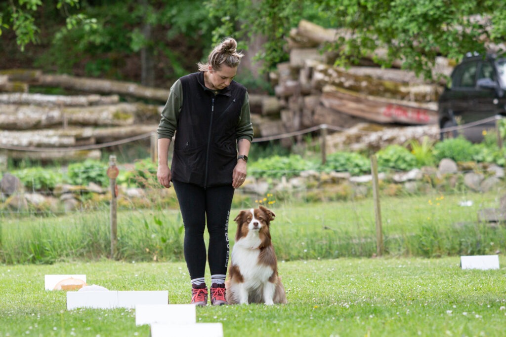 Rally Obedience Training im Hundeausbildungs-Zentrum WiWa Kirchen e.V.