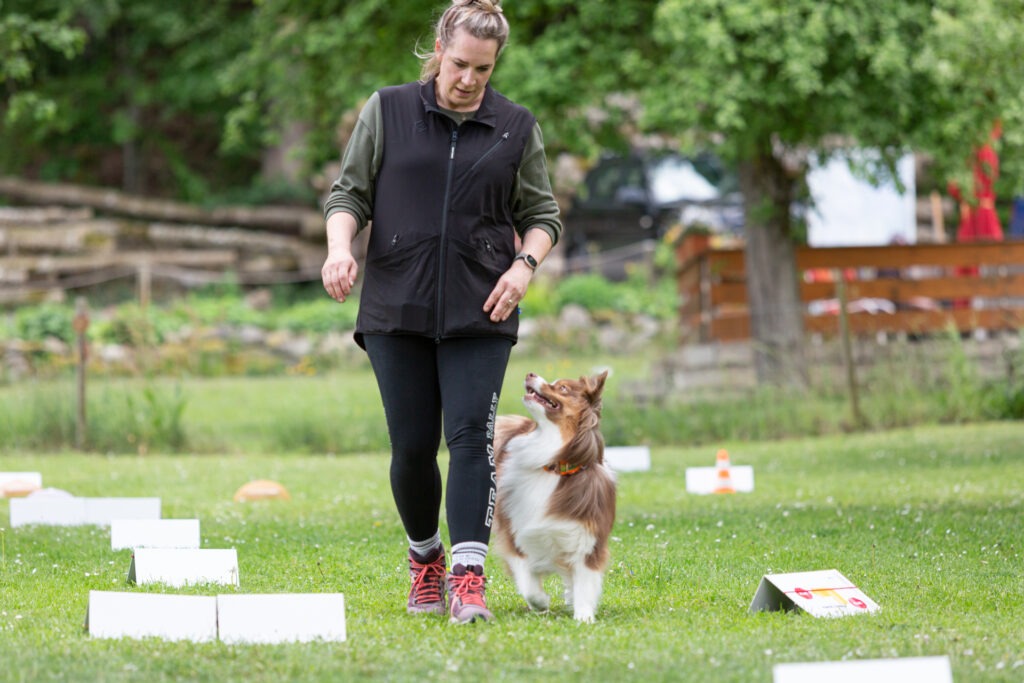Rally Obedience Training im Hundeausbildungs-Zentrum WiWa Kirchen e.V.