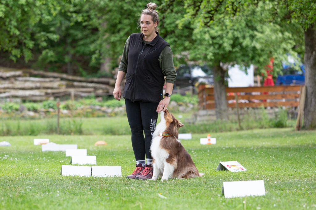 Rally Obedience Training im Hundeausbildungs-Zentrum WiWa Kirchen e.V.