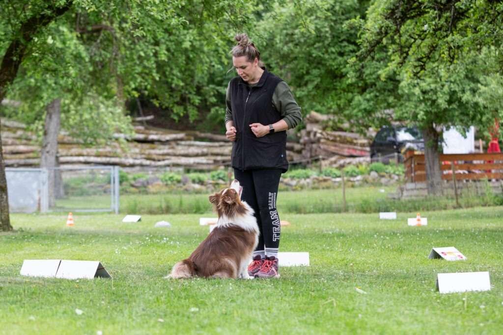 Rally Obedience Training im Hundeausbildungs-Zentrum WiWa Kirchen e.V.