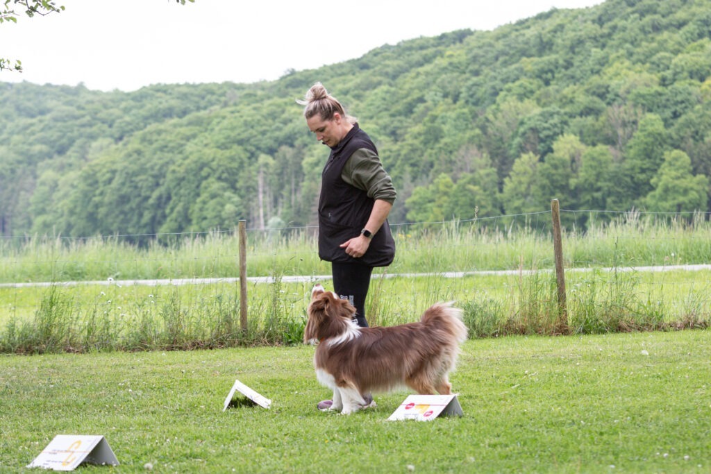 Rally Obedience Training im Hundeausbildungs-Zentrum WiWa Kirchen e.V.