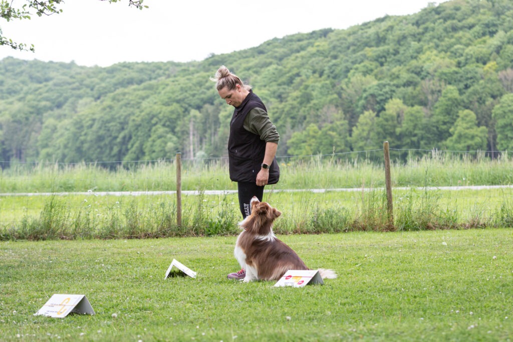 Rally Obedience Training im Hundeausbildungs-Zentrum WiWa Kirchen e.V.