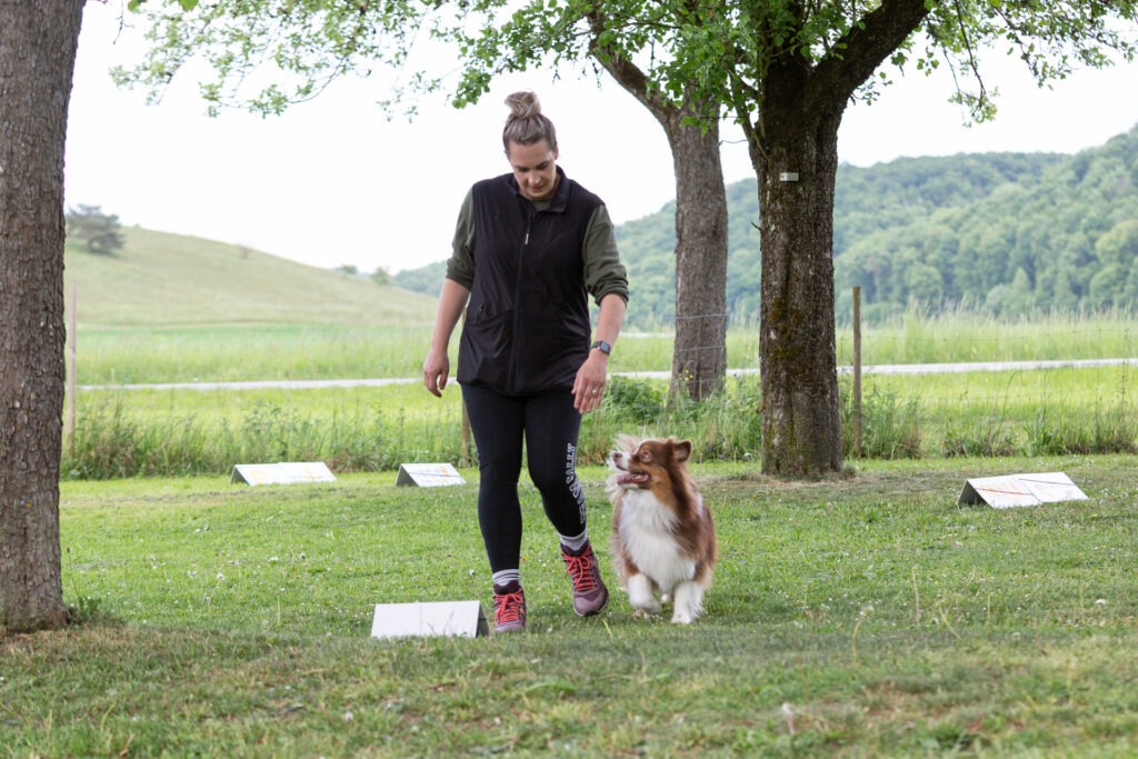 Rally Obedience Training im Hundeausbildungs-Zentrum WiWa Kirchen e.V.