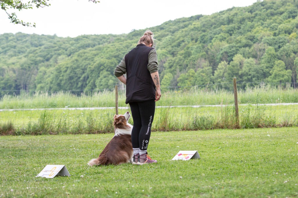 Rally Obedience Training im Hundeausbildungs-Zentrum WiWa Kirchen e.V.