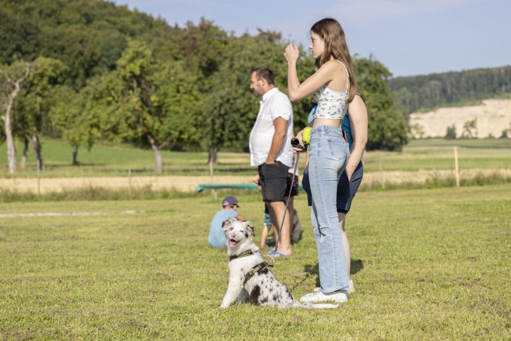 Welpengruppe Hundeausbildungs-Zentrum WiWa Kirchen e.V.