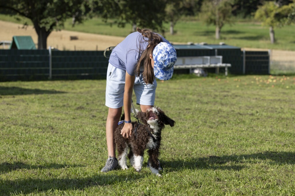 Welpengruppe Hundeausbildungs-Zentrum WiWa Kirchen e.V.