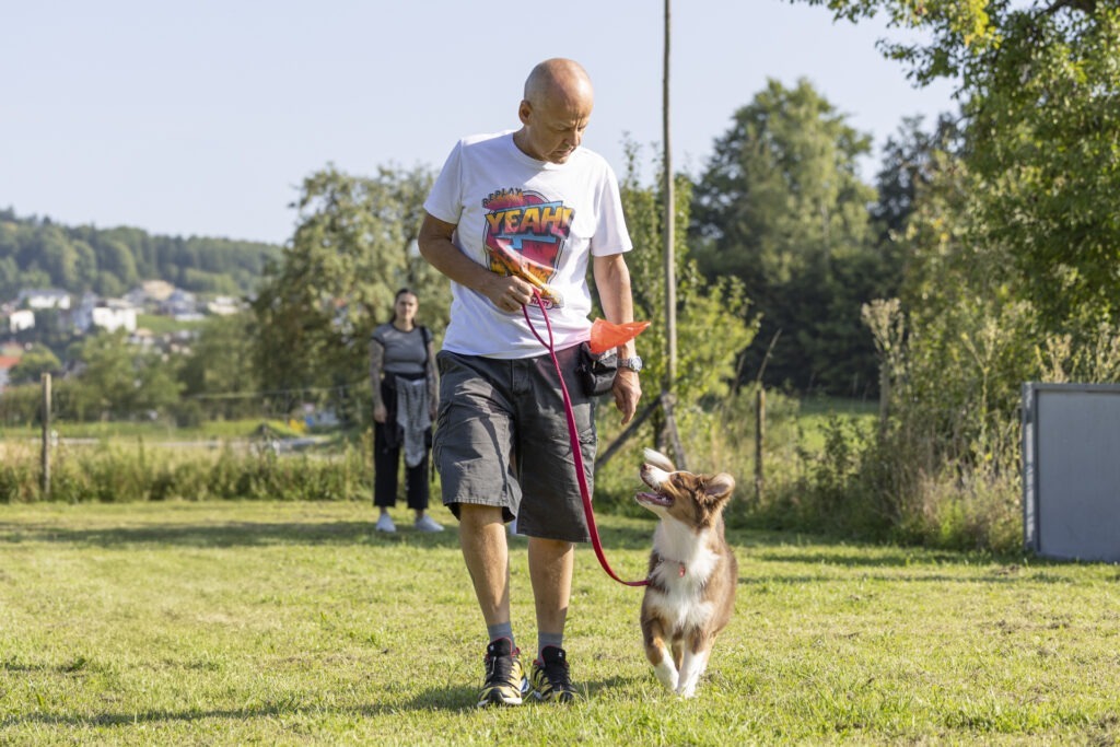 Welpengruppe Hundeausbildungs-Zentrum WiWa Kirchen e.V.