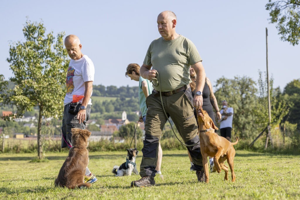 Welpengruppe Hundeausbildungs-Zentrum WiWa Kirchen e.V.